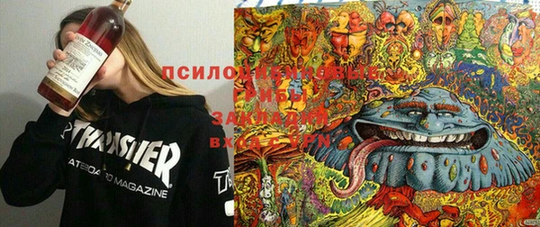 таблы Алексин