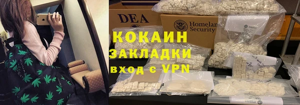 дживик Алексеевка