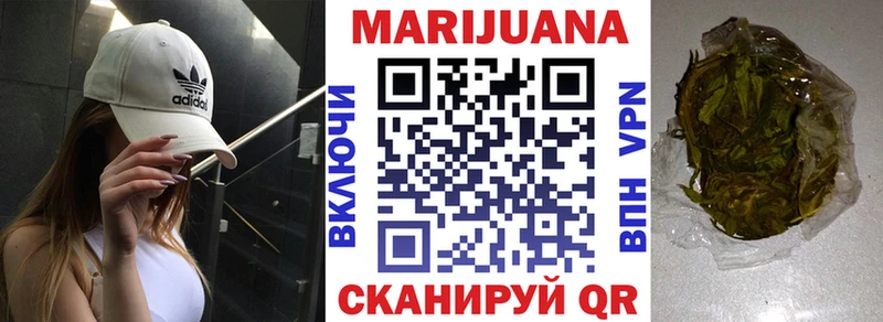 Бошки Шишки семена Ачхой-Мартан